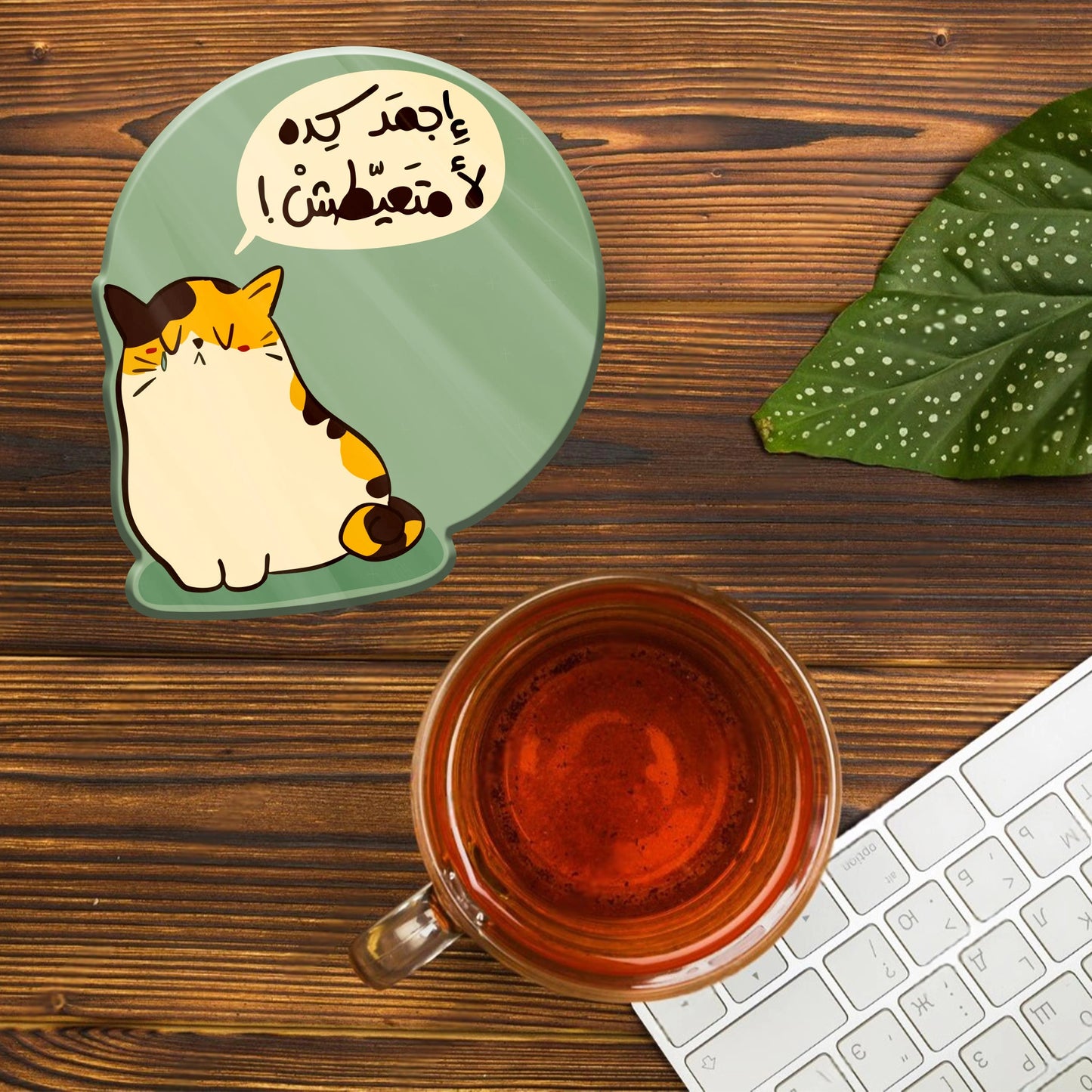 AGMD KADA MT3YTSH ACRYLIC COASTER